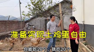 为实现土鸡蛋自由，阿金直接在院子养一批，小翠说我把她当猪养