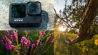 15x Macro Lens on the GoPro Hero 9 Black - Capturing Wide Angle Macro Photos and Videos with GoPro!