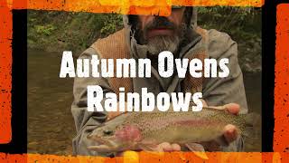 BIG Oven's River Rainbows, Fly fishing with Dry Flies. Australia