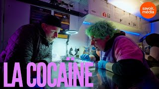 La cocaïne et ses dérivés - Substances