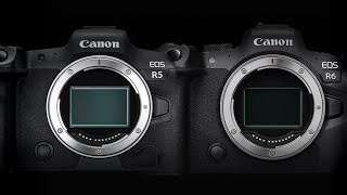 Why I Ordered the CANON R6 + thoughts on the R5 - The PERFECT CAMERA?