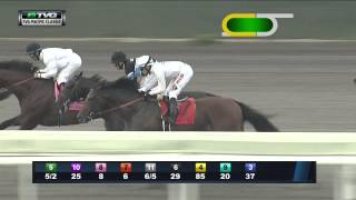 Top 30 Countdown -  #6 TVG Pacific Classic (Shared Belief)