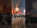 Wild fire in turkey 🔥