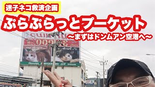 【🇹🇭緊急企画】ねこ救済企画第1幕！プーケット迷子猫探しの日帰り弾丸旅行！アパートからドンムアン空港へ向かうライブ！2022年1月25日火曜日 #cat #phuket