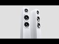 Totem Trube Towers killing it with biamped Chifi Dartzeel klone amps!