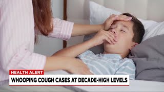 How to keep your family safe from whooping cough as cases surge