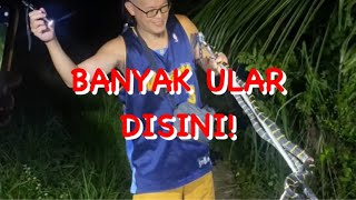 BANYAK ULAR!JALAN JALAN KE HUTAN BARENG BULE CARI ULAR.