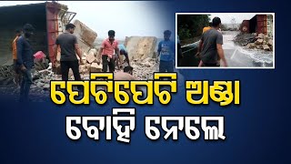 ପେଟି ପେଟି ଅଣ୍ଡା ବୋହି ନେଲେ...!  | Odisha Reporter