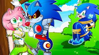 The Love of Robot Sonic | Sonic The Hedgehog 3 animation