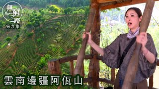 無窮之路｜雲南邊疆阿佤山｜咖啡