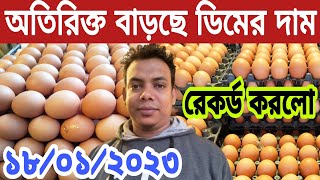 EGG Price Today's একি হলো ডিমের বাজারে। আজকের বাজারে লাল,সাদা, দেশি হাঁসের ডিম ও মুরগির ডিমের দাম?