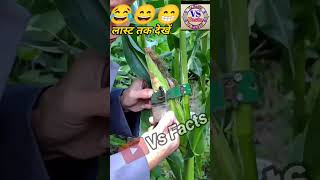 बुद्धिजीवी लोग #viral #viralvideo #funnyvideo #shortsvideo#tranding #vsfacts#funny #trending #shorts