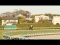 【有馬記念 2024】本馬場入場