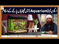 Ghar main Aquarium main Machli Palne ke Ahkam | Mufti Akmal | ARY Qtv