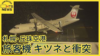 札幌・丘珠空港　旅客機が滑走路でキツネと衝突し欠航  乗客は対応に追われる