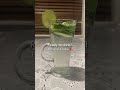 lemon mint mojito mint mojito drink shorts shortvideo shortsfeed recipe youtubeshorts