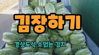 김장하기(경상도식 소 없는 김치)