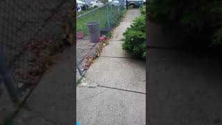 Bad experience at GameStop