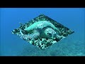 沖縄ケラマ・ファンダイビング seasir ＜前編＞ 2012.10.26 diving in okinawa kerama islands ...part 1