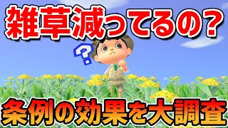 【あつ森検証】美しい島条例はちゃんと雑草を減らす効果があるのか調べたら驚きの結果が...！！【アップデート/レイジ/ざっそう】