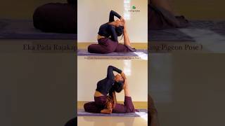 Eka Pada Rajakapotasana ( One-legged King Pigeon Pose ) #yogaurmi #yogawithurmipandya #yoga