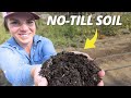 Improve In Ground Soil Naturally: No-Till Methods Revealed