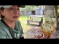 岡山県　牛窓オリーブ園で日本のエーゲ海　異国の坂　赤穂キラキラ坂