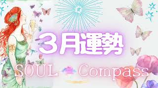 3月運勢【ソウル💎コンパス】魂が導く、指し示していく流れとは?🐝エンディング後に黒画面が続く編集ミスをしてしまいました🙇‍♀️💦