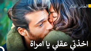 تأثير القبلة - مسلسل الطائر المبكر