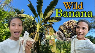 Collected Wild Banana That Contain Seeds || Collecting and Eating Wild Fruits || Village Life