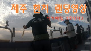 본 시즌 한치 이카메탈, 오모리 리그 랜딩영상(제주)