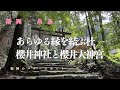 【福岡糸島観光】西の伊勢神宮といわれる　櫻井神社⛩️と櫻井大神宮　糸島の森の中、荘厳な雰囲気が漂う神社