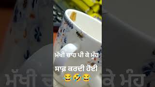 ਮੱਖੀ ਚਾਹ ਪੀ ਕੇ ਸਵਾਦ ਲੈਂਦੀ ਹੋਈ 🤣😂🤣#viral #trending #funny #funnyshorts #funnyvideo #video #pind #