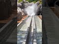 Fat Testing Humunga Kowabunga Waterslides at Disney's Typhoon Lagoon