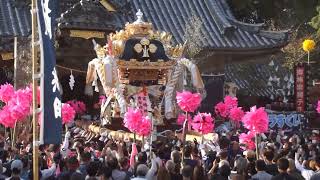 限界？崩れてもチョーサー！　宮入り　苅屋屋台　富嶋神社　令和４年秋季例祭　本宮