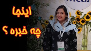 اینجا چه خبره ؟