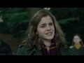 hermione being annoyed for 8 movies straight