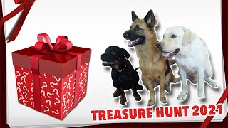 TREASURE HUNT 2021 : Christmas gift searching : ടെസ്സ ടെറി ട്യൂണ - ആര് ജയിക്കും?