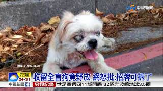 飼主尋全盲老犬 動物之家\