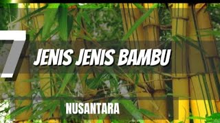 7 Jenis Jenis BAMBU Yang ada di NUSANTARA [Raja Rimba 👑]