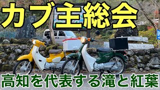 【バイク】カブ主総会！　スーパーカブで高知を代表する滝と紅葉を楽しむ！