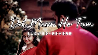 Dil Mein Ho Tum [slowed+reverb] Hindi Song Full Lyrics [ go to channel ]