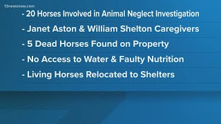 Suffolk police investigating horse neglect