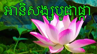 អានិសង្សបូជាផ្កាឈូក​ -30-សីហា-2020