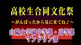 高校生合同文化祭、～がんばったから見に来てね♪～　山陽女学園管弦楽部マンドリン部　演奏（２）　。動画はありませんが素晴しい音源をお聴きください！