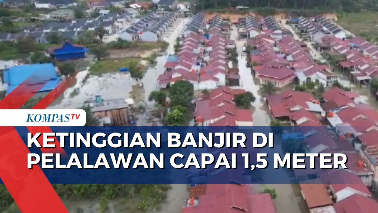 Banjir Rendam Ratusan Rumah Di Pelalawan Riau Dengan Ketinggian 1,5 ...