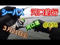 【シーバス 河口釣行 3月21日① @036】九州の福岡県 北九州を中心に、おかっぱりをウロウロして釣りをしています。