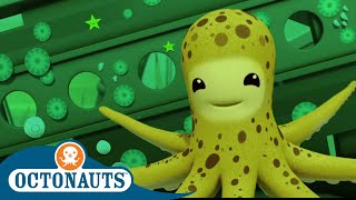 Octonauts - Friendly Octopus | Cartoons for Kids | Underwater Sea Education