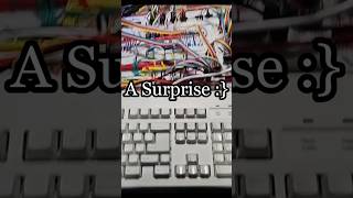 A Surprise :}