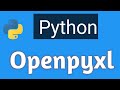 Working with excel sheet in python | python excel automation | excel file handling [Openpyxl]